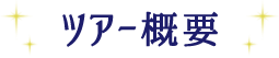 ツアー概要