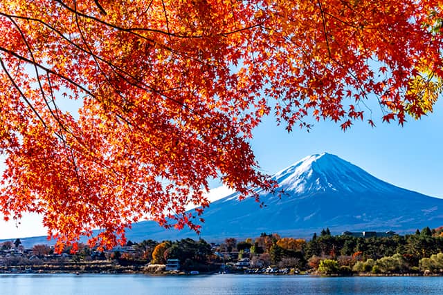 河口湖へ１Ｄａｙトリップ！絶景フォトスポット「富士山パノラマロープウェイ往復券」付き