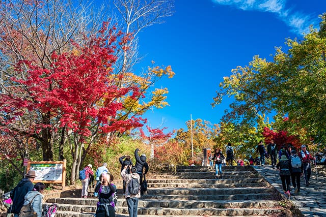 高尾山