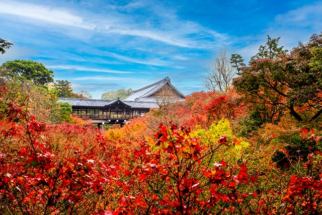 東福寺、清水寺
