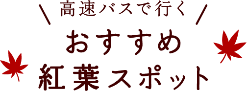 高速バスで行くおすすめ紅葉スポット