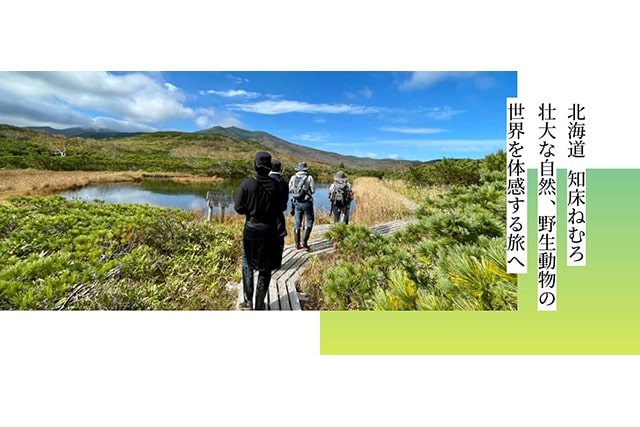 知床ねむろの体験プラン