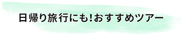 日帰り旅行にも！おすすめツアー