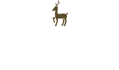 奈良を満喫するおすすめプラン