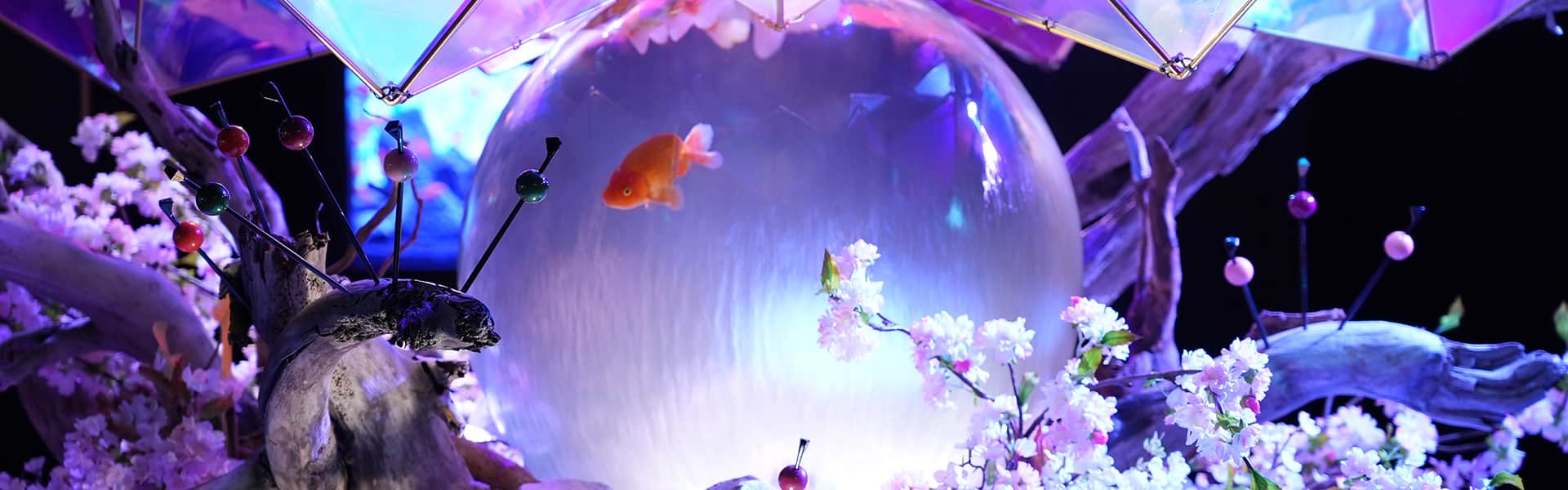 金魚ミュージアム