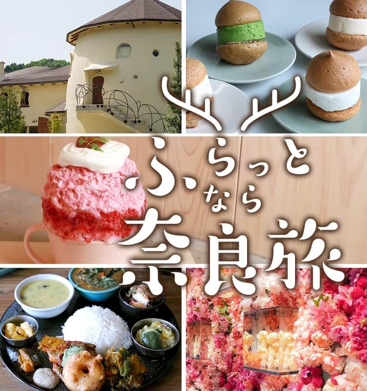 名古屋から奈良へはバスの移動が便利!ふらっと奈良旅