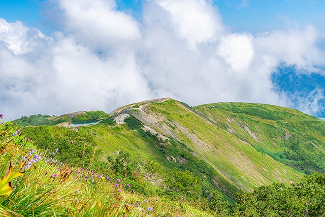 白馬岳、唐松岳