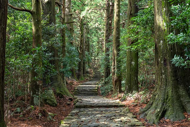 熊野古道