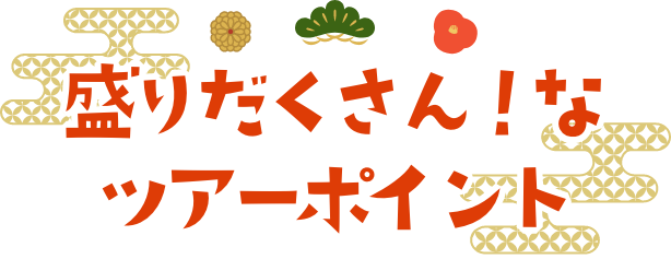 盛りだくさん！なツアーポイント