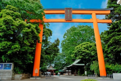 川越氷川神社