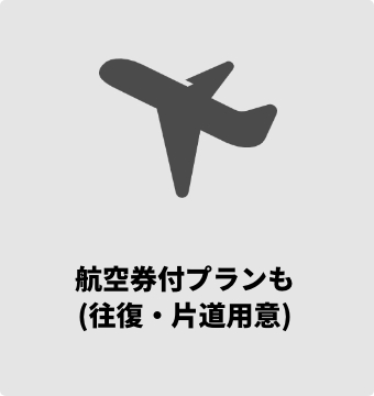 2DAYSチケット