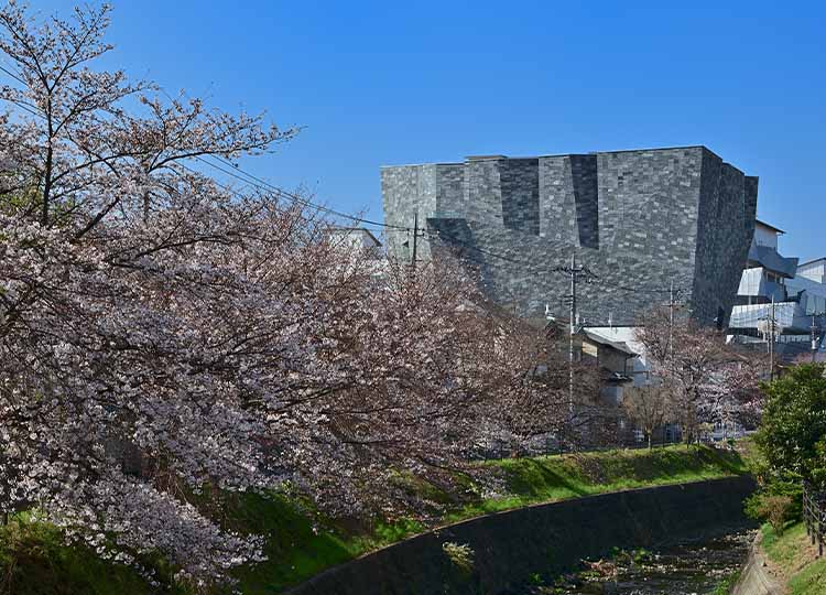 トレーニング会場は埼玉の新名所「ところざわサクラタウン」