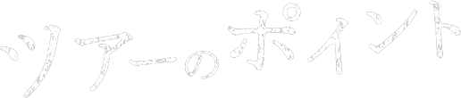 ツアーのポイント