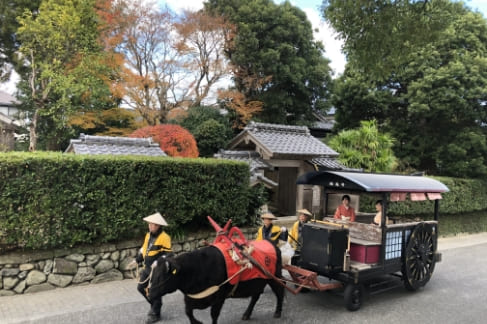 いずみ観光牛車