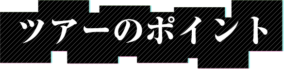 ツアーのポイント
