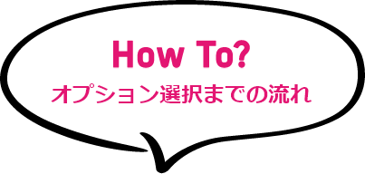 How To? オプション選択までの流れ