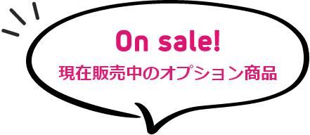 How To? オプション選択までの流れ