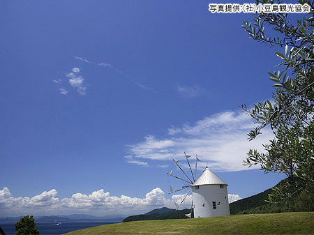 オリーブ園