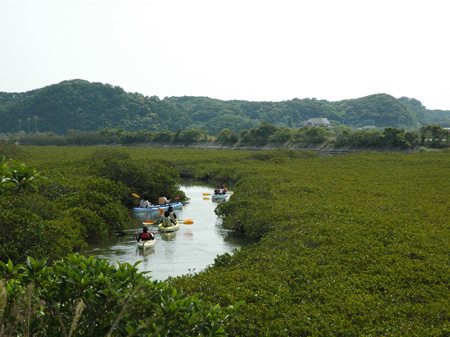 象の水飲み岩