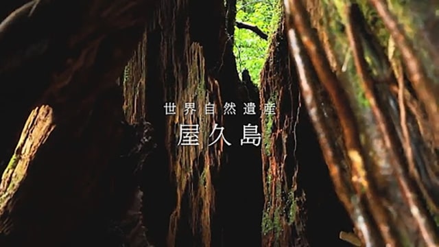 世界遺産応援プロジェクト