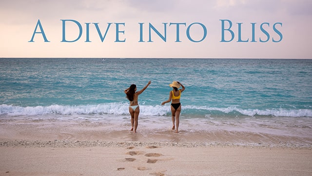 Dive into Bliss