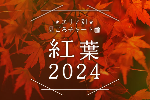 紅葉特集 2024