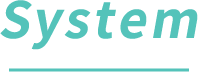 System