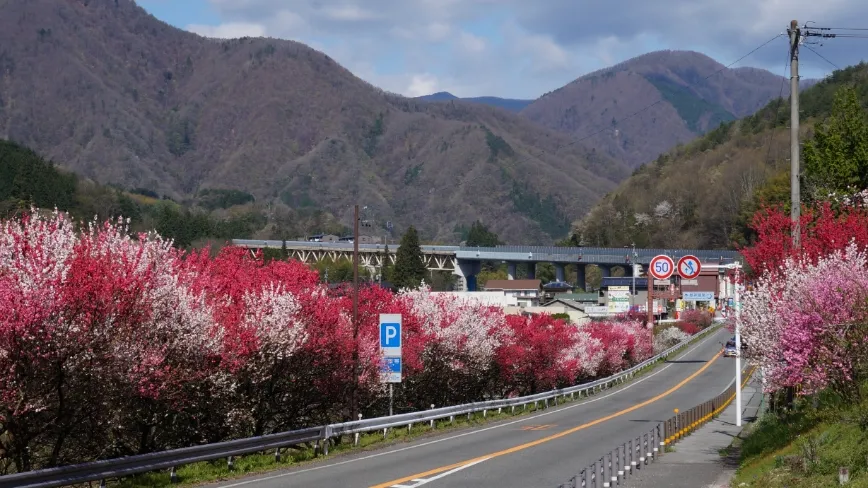 はなもも街道