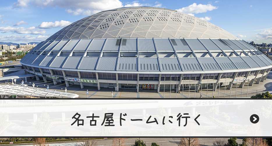 名古屋ドームに行く