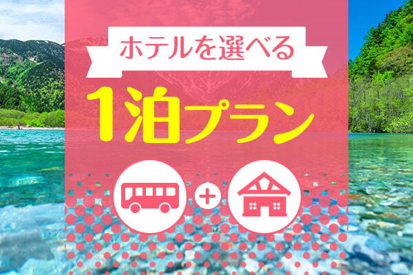 ホテルを選べる１泊プラン