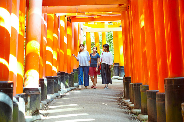 京都 定期観光バス