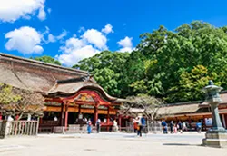 福岡泊