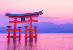広島泊