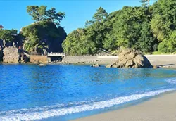 高知泊