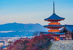 京都泊