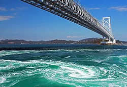 徳島泊