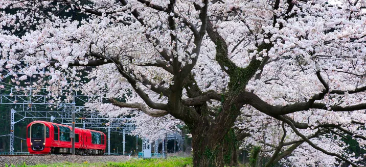 えちごトキめきリゾート雪月花