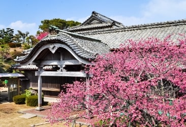 神代小路