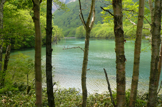 大正池