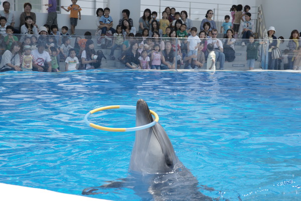 【福岡発】佐世保へ１Ｄａｙトリップ！九十九島の美しい海中世界が楽しめる「九十九島水族館海きらら入館券」付き