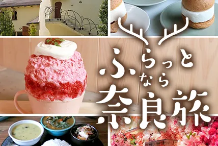名古屋から奈良へはバスの移動が便利！ふらっと奈良旅