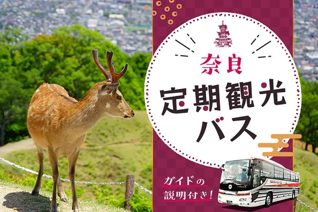 奈良 定期観光バスで巡る旅 ガイドの説明付き！