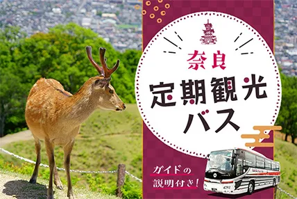 奈良 定期観光バスで巡る旅 ガイドの説明付き！