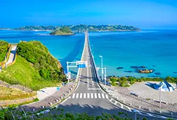 山口泊